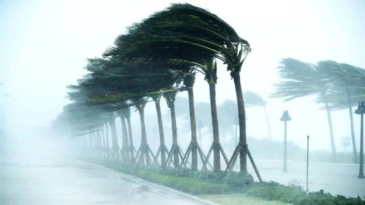 درجات الحرارة تسجل 11 للصغرى بالقاهرة وسط تقلبات جوية مرتقبة يوم الخميس